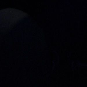 Meet your Posher, Elisia